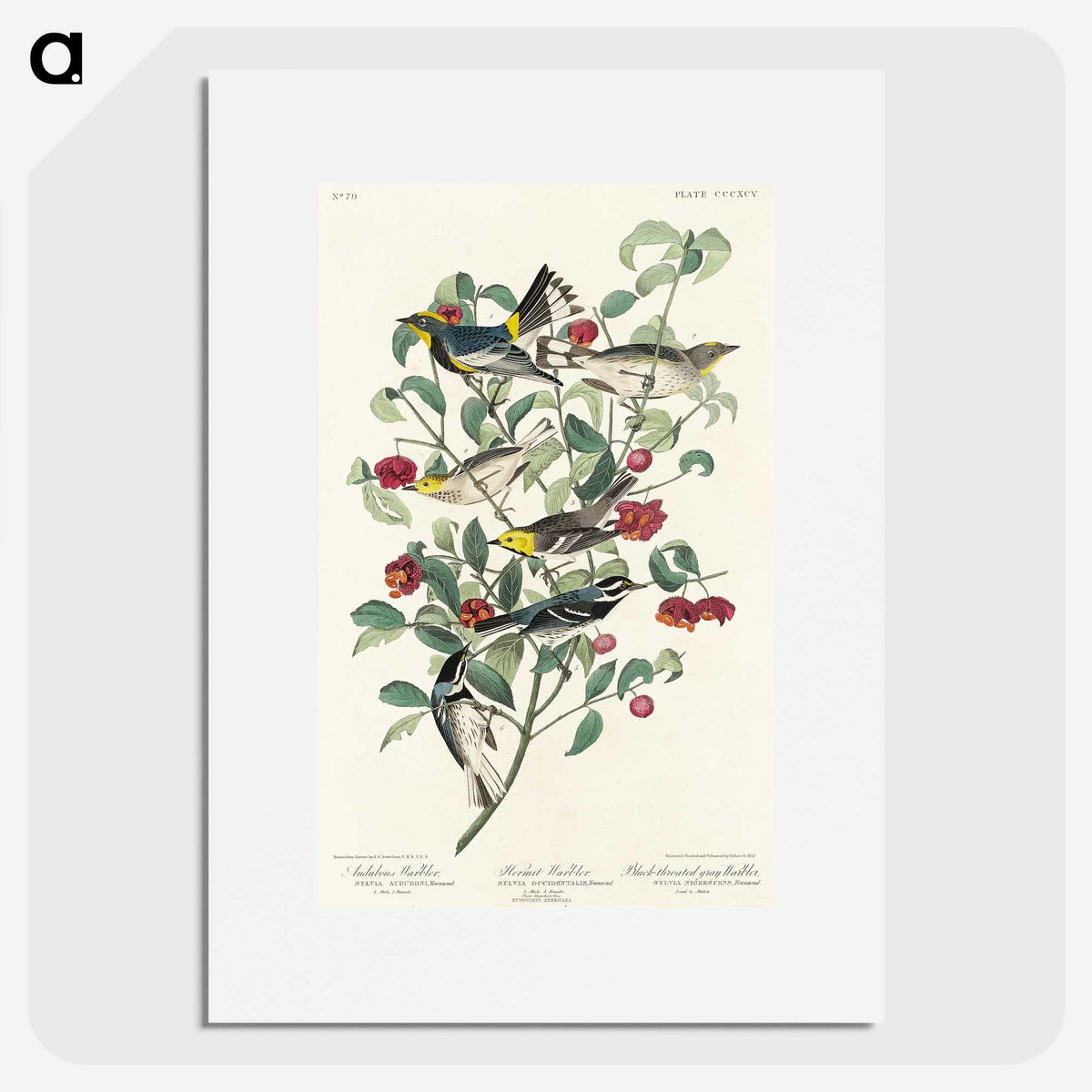 2-25_John-James-Audubon_picture