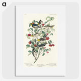 2-25_John-James-Audubon_picture