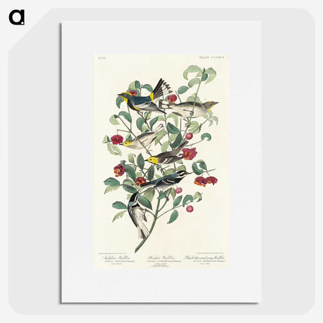 2-25_John-James-Audubon_picture