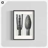 2-25_Karl-Blossfeldt_blk