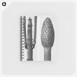 2-25_Karl-Blossfeldt_memo