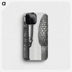 2-25_Karl-Blossfeldt_phone