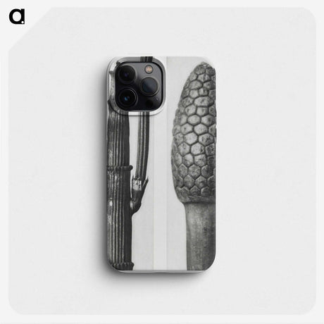 2-25_Karl-Blossfeldt_phone