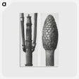 2-25_Karl-Blossfeldt_postcard