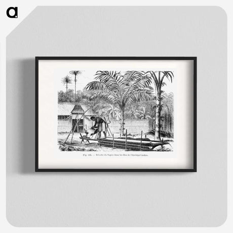 2-25_Les-Palmiers-Histoire-Iconographique_blk