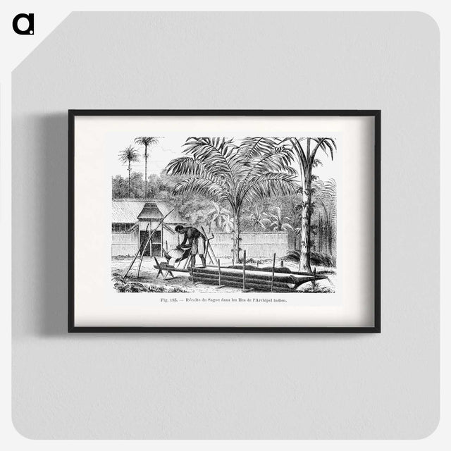 2-25_Les-Palmiers-Histoire-Iconographique_blk