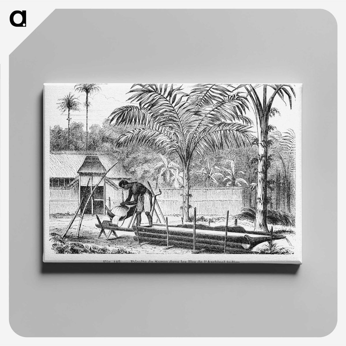 2-25_Les-Palmiers-Histoire-Iconographique_canvas