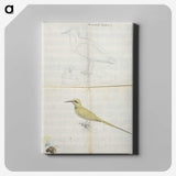 2-25_Luigi-Balugani_canvas