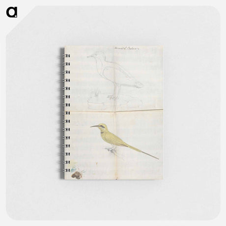 アートメモ帳-Aroust el Bahar
 - ルイージ バルガーニ Memo.