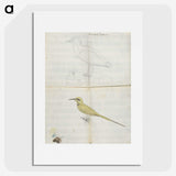 2-25_Luigi-Balugani_picture