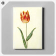 アートパネル-Tulipa Gesneriana
 - マリア ジビーラ メーリアン Canvas.