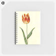 2-25_Maria-Sibylla-Merian_memo