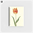 アートメモ帳-Tulipa Gesneriana
 - マリア ジビーラ メーリアン Memo.