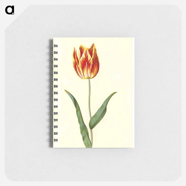 アートメモ帳-Tulipa Gesneriana
 - マリア ジビーラ メーリアン Memo.