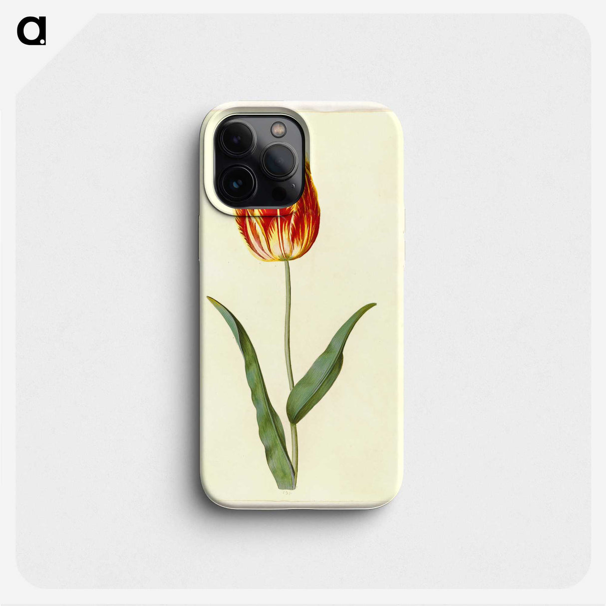 2-25_Maria-Sibylla-Merian_phone