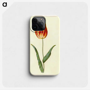 2-25_Maria-Sibylla-Merian_phone