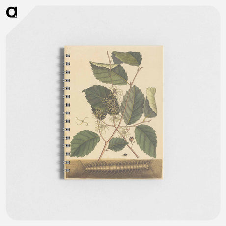 アートメモ帳-Centipede
 - マーク ケイツビー Memo.