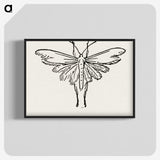 2-25_Moths-and-Butterflies-of-the-United-States_blk-crop