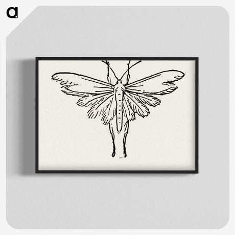 2-25_Moths-and-Butterflies-of-the-United-States_blk-crop