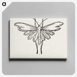 2-25_Moths-and-Butterflies-of-the-United-States_canvas