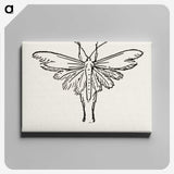 2-25_Moths-and-Butterflies-of-the-United-States_canvas