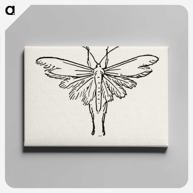2-25_Moths-and-Butterflies-of-the-United-States_canvas