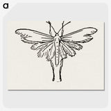 2-25_Moths-and-Butterflies-of-the-United-States_picture-crop