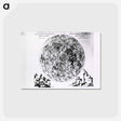 アートポストカード-Observation Exacte Des Macules Du Disque De La Lune
 - 国立医学図書館 Postcard.