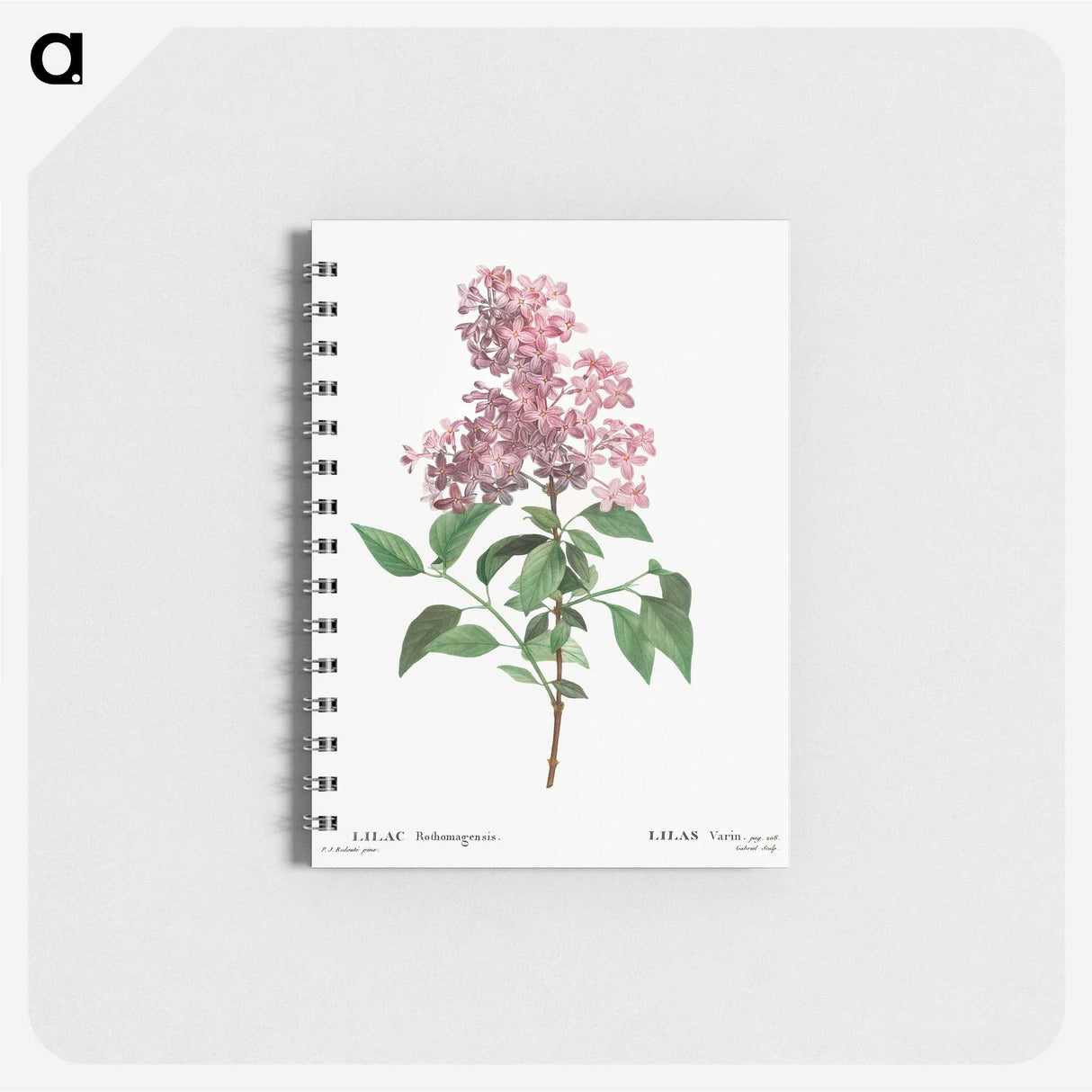 2-25_Pierre-Joseph-Redoute_memo