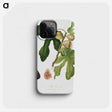 2-25_Pomona-Italiana_phone