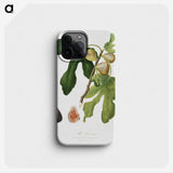 2-25_Pomona-Italiana_phone
