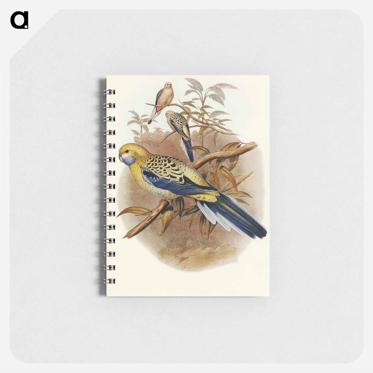 アートメモ帳-Blue-cheeked Parakeet
 - オーストラリアの鳥 Memo.