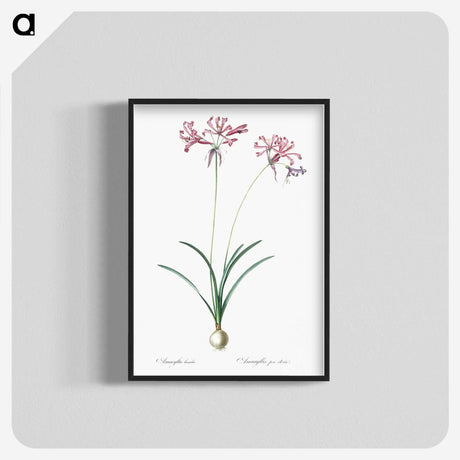 2-25_The-Lilies_blk-crop
