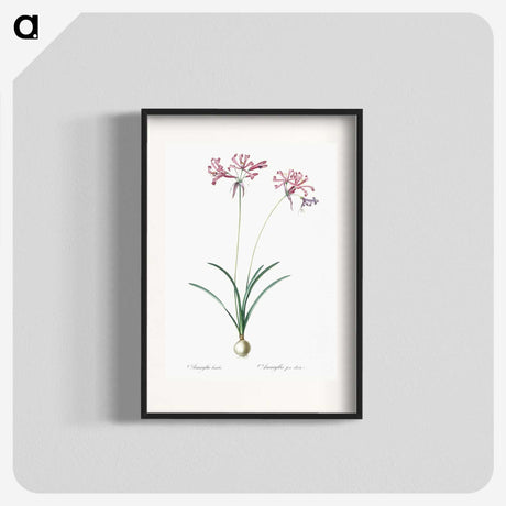 2-25_The-Lilies_blk