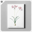 2-25_The-Lilies_canvas