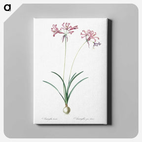2-25_The-Lilies_canvas