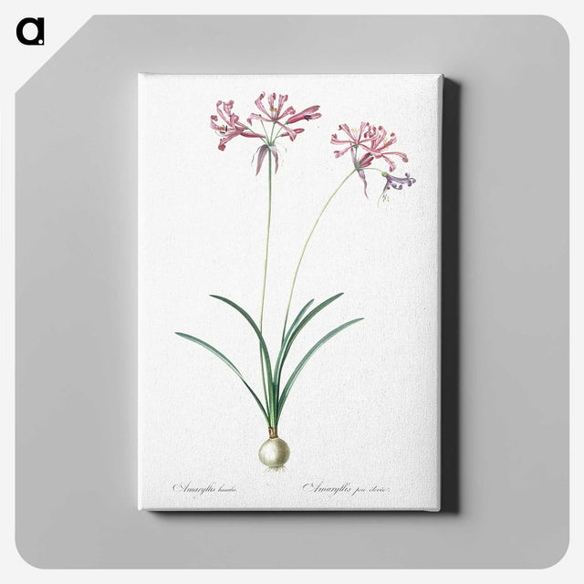2-25_The-Lilies_canvas