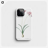 2-25_The-Lilies_phone