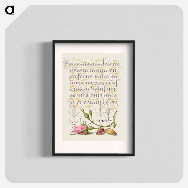 アートポスター-French Rose and Pistachio from Mira Calligraphiae Monumenta
 - 書道のお手本 Poster.