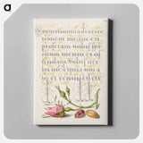 アートパネル-French Rose and Pistachio from Mira Calligraphiae Monumenta
 - 書道のお手本 Canvas.