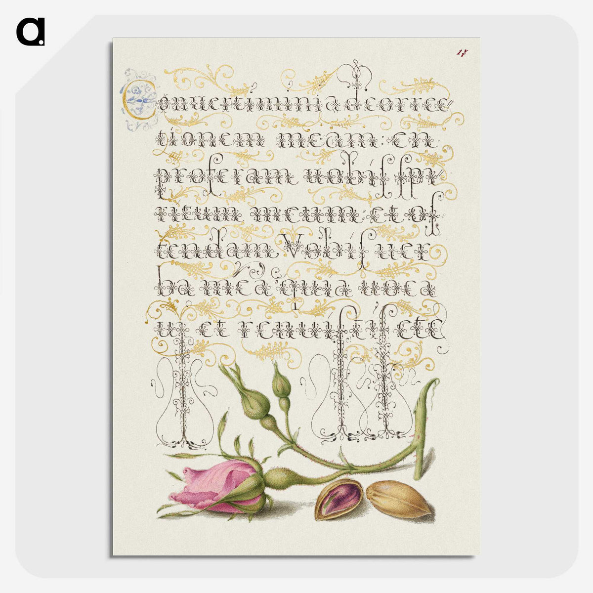 2-25_The-Model-Book-of-Calligraphy_picture-crop