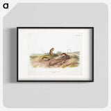 2-25_The-Viviparous-Quadrupeds_blk