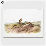 2-25_The-Viviparous-Quadrupeds_picture-crop