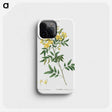 2-25_Treatise-on-Trees-and-Shrubs_phone
