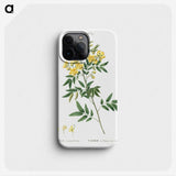 2-25_Treatise-on-Trees-and-Shrubs_phone