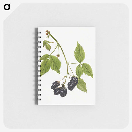 2-25_USDA-Watercolor-Fruit-Painting-Collection_memo