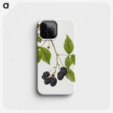 2-25_USDA-Watercolor-Fruit-Painting-Collection_phone