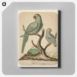 2-25_Yale-University-Art-Gallery_canvas