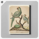 2-25_Yale-University-Art-Gallery_canvas