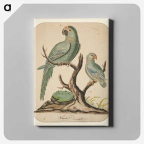 2-25_Yale-University-Art-Gallery_canvas